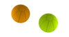 Medicine Balls - 6.6 LBS